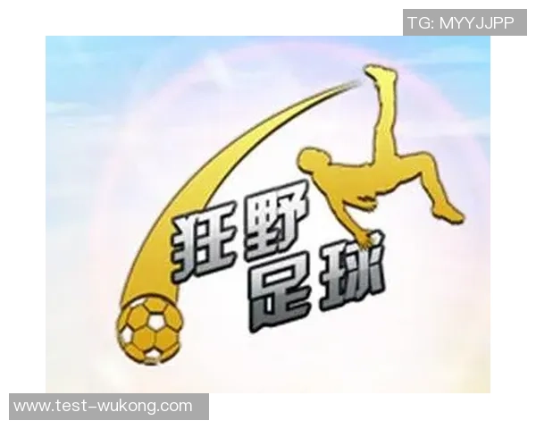 狂野足球暗金球员全解析揭秘他们的实力与潜力